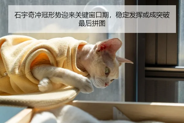 石宇奇冲冠形势迎来关键窗口期，稳定发挥或成突破最后拼图